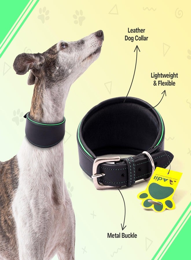 ADIL'S Adil’s Leather Dog Collar for Greyhound, Saluki, Whippet Dogs with Green Piping and Soft Padding, Width: 1 inch, Size M, Black - Image 2